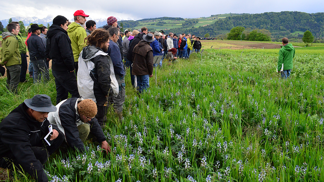 Des personnes sur le terrain.